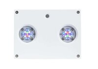 AI Hydra HD 32 LED weiß
